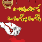Ye Kiska Lahu Hai Kaun Mara? Ye Lahu Kashmir Ka hai' Ye Kashmir Mara!