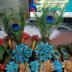 Premium Quality Nikah Pen with Peacock Feather