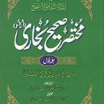 Mukhtasar Sahi Bukhari 2 Volume Set